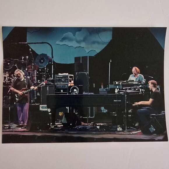 Grateful Dead Concert Photograph Licensed Rob Cohn Dead Images 8"x10" Band Perfo - Picture 14 of 14